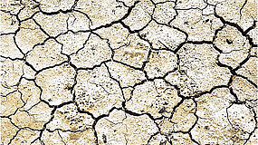 Vertrockneter Boden