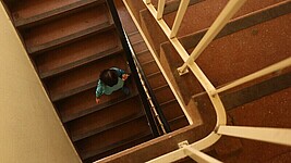 Einrichtung des IB für wohnungslose Menschen