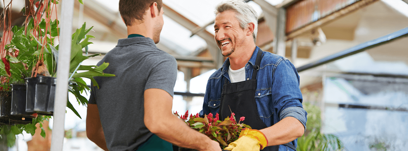 Keine Bildbeschreibung verfügbar