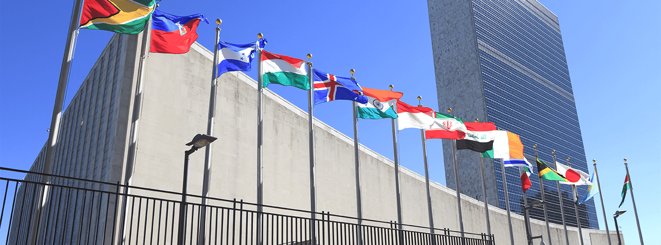 Keine Bildbeschreibung verfügbar