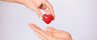 Eine Person legt ein rotes Herz in die Hand einer anderen Person.