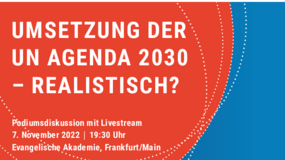 Das Plakat zur Diskussion der DGVN