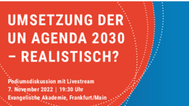 Das Plakat zur Diskussion der DGVN
