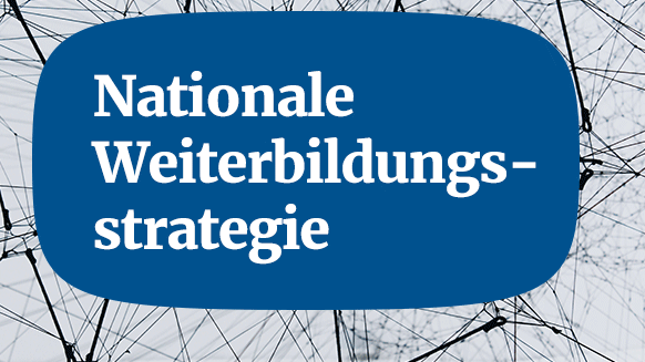 Website-Button mit der Aufschrift "Nationale Weiterbildungsstrategie", weiße Schrift auf blauem Hintergrund.